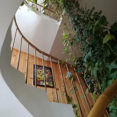 Hotel Rozalia Ravda